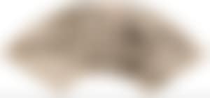Landscape (preview)
