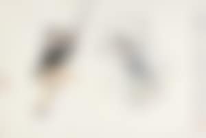 Characters (preview)