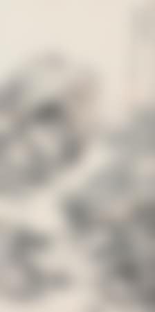 Landscape (preview)