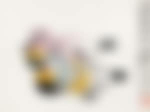 Mandarin Duck (preview)