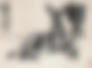 Donkey (preview)