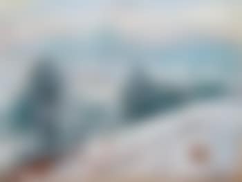 Paysage de neige (preview)