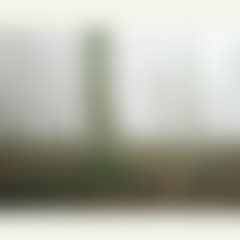 Bjørnemosen (preview)