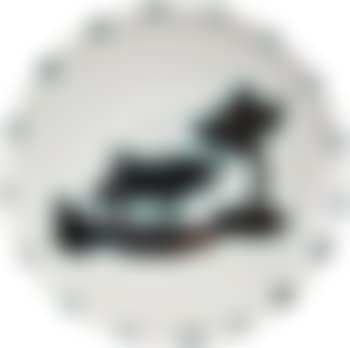 Le taureau (preview)