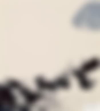 Ohne Titel (preview)