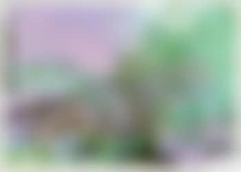 Ohne Titel (preview)