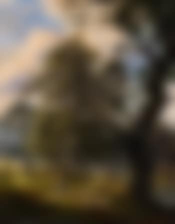Dyrehaven Deer Park near Copenhagen (preview)