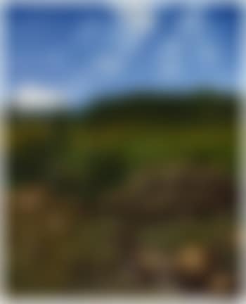 A Summer Landscape in the Black Forest (preview)