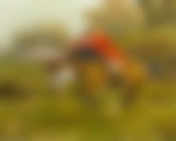 The Rescue at the Hunt (preview)