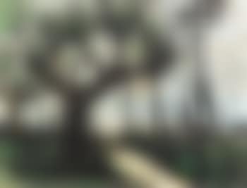 Route et eglise (preview)