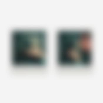 Self-portrait with camera (diptych) (preview)