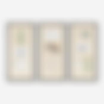 Collection of nine sketches and ephemera (preview)