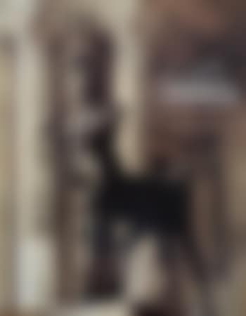 La colombe (preview)