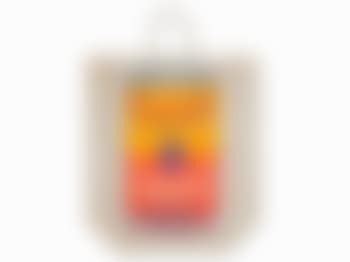 Campbell's Soup Can (Tomato) (preview)
