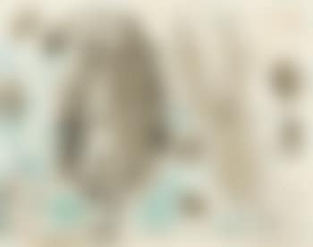 Untitled, 1951 (preview)