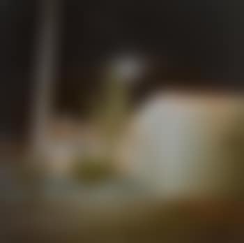 Untitled (Cactus and Motel) (preview)