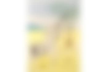 Joseph (preview)