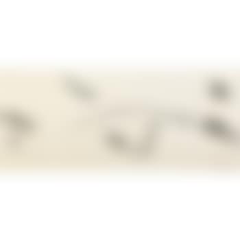 Untitled (Scroll) (preview)