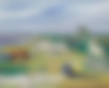 Chevaux en Camargue (preview)