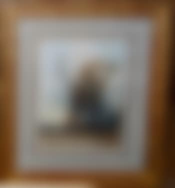 Vue de jardin des Tuileries (preview)