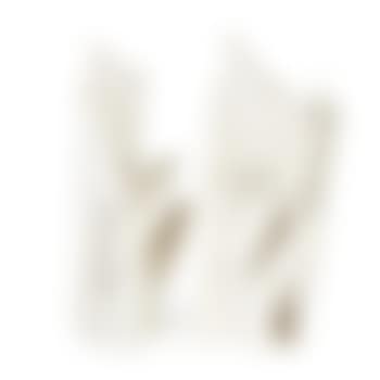 Plant (preview)