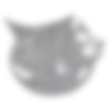 Moon Dog (in 5 parts) (preview)
