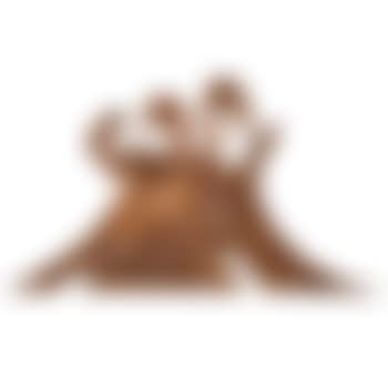 Delivered Word (preview)