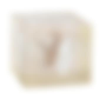 Untitled (preview)