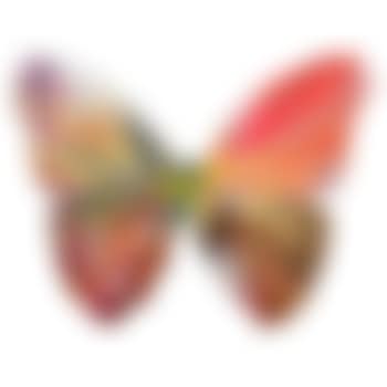 Butterfly Spin Painting (preview)