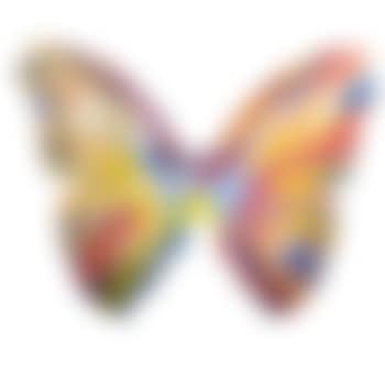 Butterfly Spin Painting (preview)