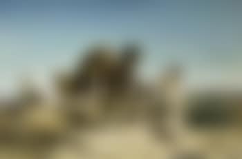 Caravane dans le désert (preview)