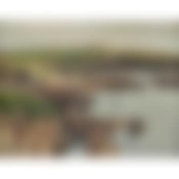 An Island Farm, Oddness, Stronsay (preview)