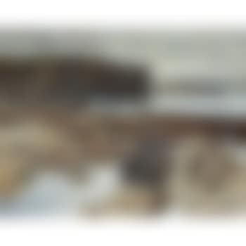 The cliffs at rousay (preview)