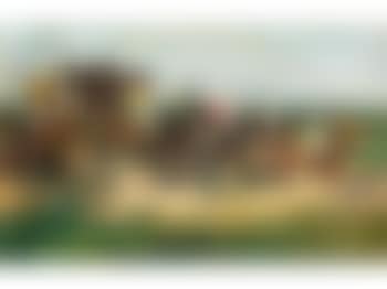 Pferderennen (preview)