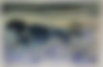 Senza titolo (preview)