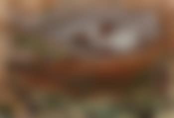 Senza titolo (preview)