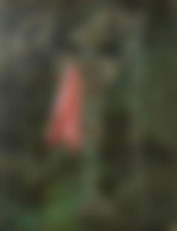 Don Quijote (preview)