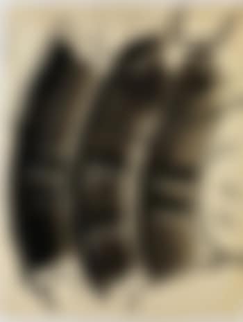 Ohne Titel (preview)