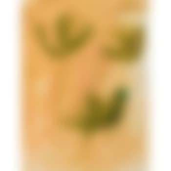 Ohne Titel (preview)