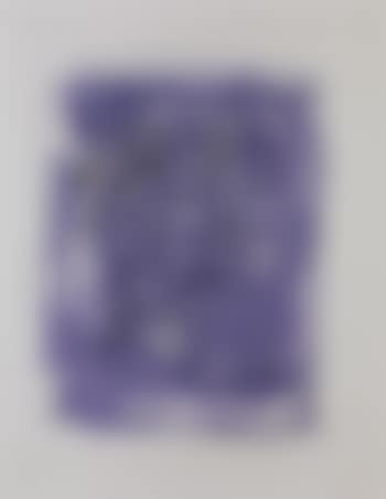 Griffure Sur Fond Violet (preview)