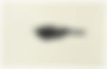 Paint Brush 畫筆 (preview)
