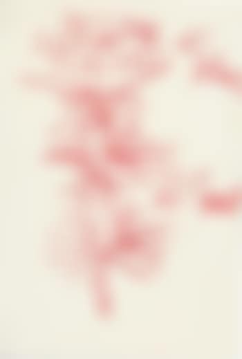 Blume (preview)