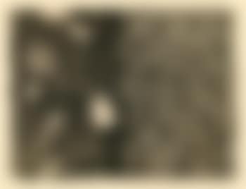 Samuel Beckett. Foirades - Fizzles. Gravures Jasper Johns (preview)