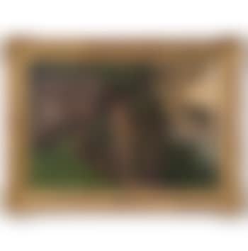 Überhängende Bäume an der Rigiwand oberhalb Vitznau (preview)