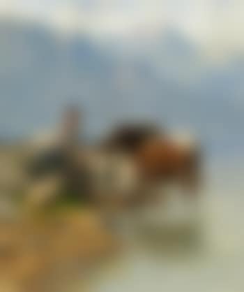 Hütebub mit Kühen und Schafen am Bergsee (preview)
