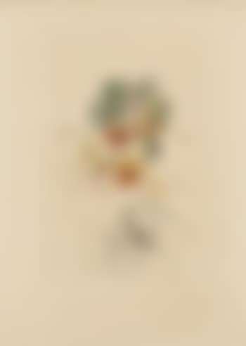 Abricot chevalier (preview)