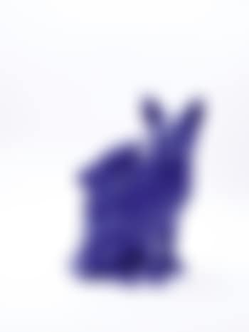 Cloned cat with pet bottle blue (preview)