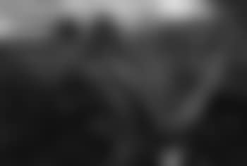 Mexico (preview)