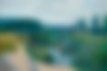 Sommerliche Flusslandschaft mit Anglern (preview)