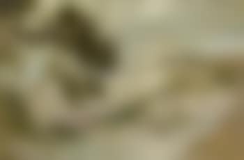 Vague au Lavandou (preview)